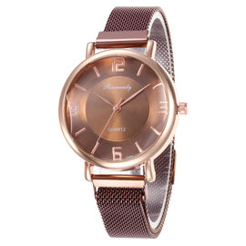 WJ-8568 Sky Alloy Face Fashion Charm Ladies Stainless Steel Magnetic Woman Mesh Wrist Watch