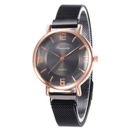 WJ-8568 Sky Alloy Face Fashion Charm Ladies Stainless Steel Magnetic Woman Mesh Wrist Watch